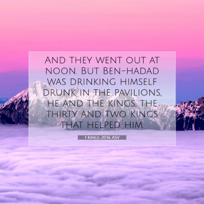 Picture 07 - 1 Kings 20:16 ASV - And they went out at noon. But Ben-hadad was - Bible Verse Picture