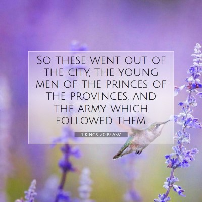 Picture 07 - 1 Kings 20:19 ASV - So these went out of the city, the young men of - Bible Verse Picture