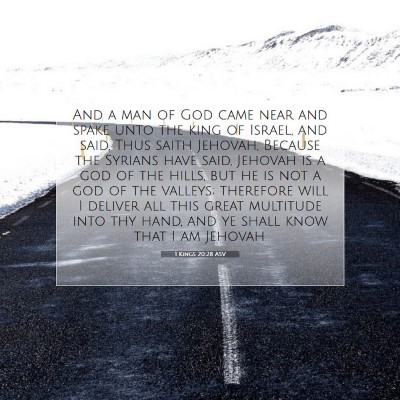 Picture 07 - 1 Kings 20:28 ASV - And a man of God came near and spake unto the - Bible Verse Picture