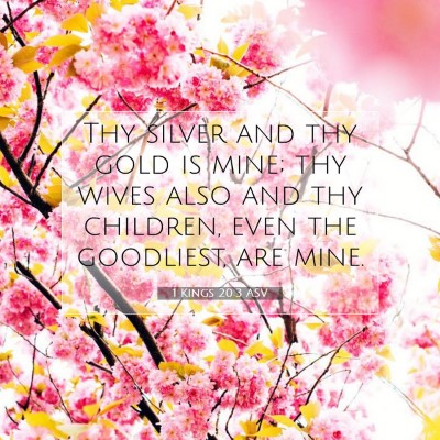 Picture 07 - 1 Kings 20:3 ASV - Thy silver and thy gold is mine; thy wives also - Bible Verse Picture