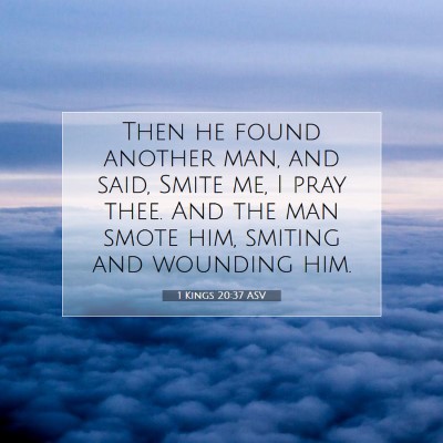 Picture 07 - 1 Kings 20:37 ASV - Then he found another man, and said, Smite me, I - Bible Verse Picture