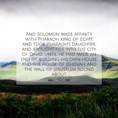 Picture 07 - 1 Kings 3:1 ASV - And Solomon made affinity with Pharaoh king of - Bible Verse Picture
