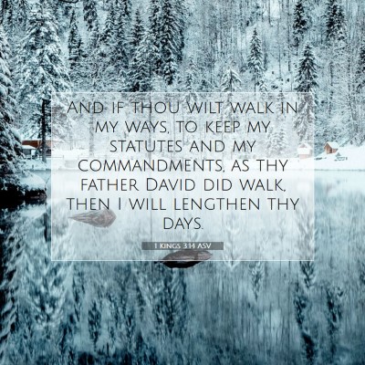 Picture 07 - 1 Kings 3:14 ASV - And if thou wilt walk in my ways, to keep my - Bible Verse Picture