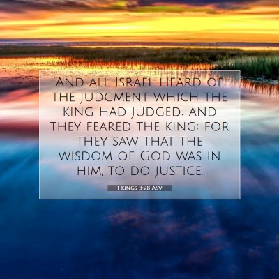 Picture 07 - 1 Kings 3:28 ASV - And all Israel heard of the judgment which the - Bible Verse Picture