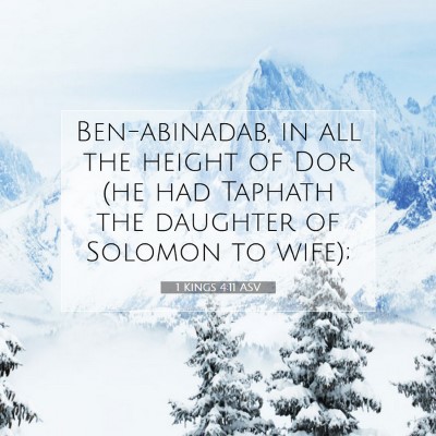 Picture 07 - 1 Kings 4:11 ASV - Ben-abinadab, in all the height of Dor (he had - Bible Verse Picture