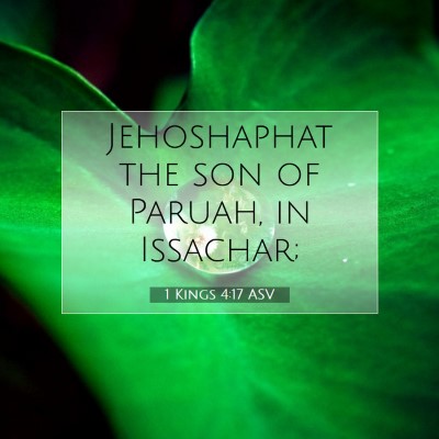 Picture 07 - 1 Kings 4:17 ASV - Jehoshaphat the son of Paruah, in - Bible Verse Picture