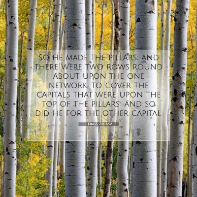 Picture 07 - 1 Kings 7:18 ASV - So he made the pillars; and there were two rows - Bible Verse Picture