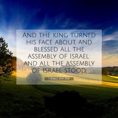 Picture 07 - 1 Kings 8:14 ASV - And the king turned his face about, and blessed - Bible Verse Picture