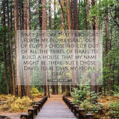 Picture 07 - 1 Kings 8:16 ASV - Since the day that I brought forth my people - Bible Verse Picture