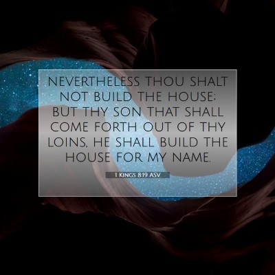 Picture 07 - 1 Kings 8:19 ASV - nevertheless thou shalt not build the house; but - Bible Verse Picture