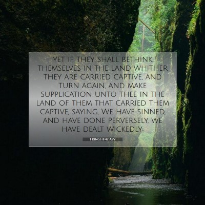 Picture 07 - 1 Kings 8:47 ASV - yet if they shall bethink themselves in the land - Bible Verse Picture