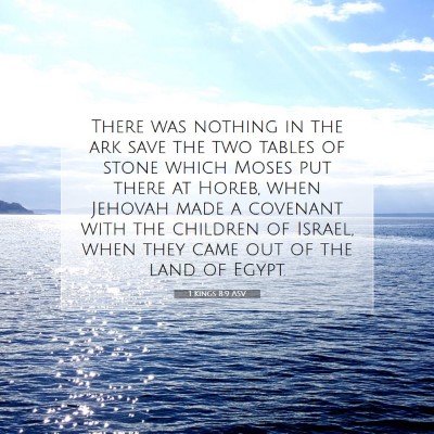 Picture 07 - 1 Kings 8:9 ASV - There was nothing in the ark save the two tables - Bible Verse Picture