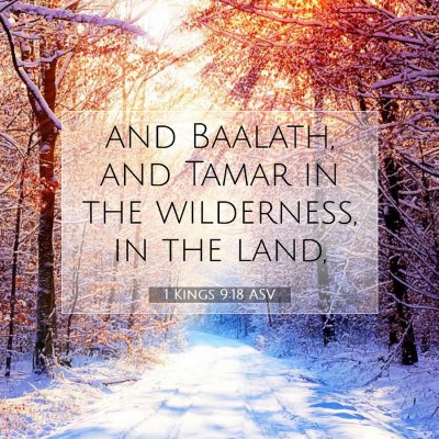 Picture 07 - 1 Kings 9:18 ASV - and Baalath, and Tamar in the wilderness, in the - Bible Verse Picture