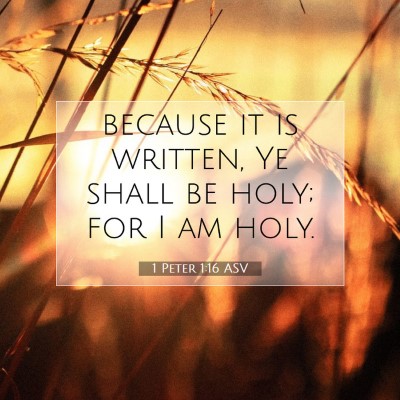 Picture 07 - 1 Peter 1:16 ASV - because it is written, Ye shall be holy; for I am - Bible Verse Picture