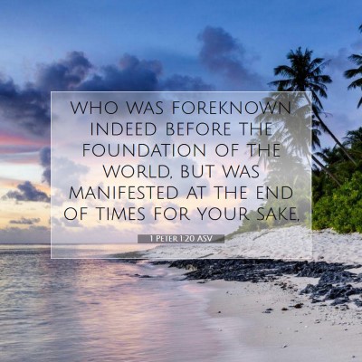Picture 07 - 1 Peter 1:20 ASV - who was foreknown indeed before the foundation of - Bible Verse Picture