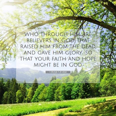 Picture 07 - 1 Peter 1:21 ASV - who through him are believers in God, that raised - Bible Verse Picture