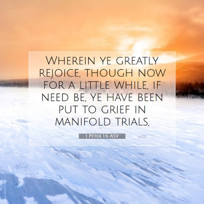 Picture 07 - 1 Peter 1:6 ASV - Wherein ye greatly rejoice, though now for a - Bible Verse Picture