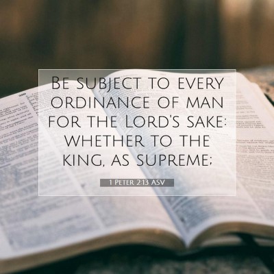 Picture 07 - 1 Peter 2:13 ASV - Be subject to every ordinance of man for the - Bible Verse Picture