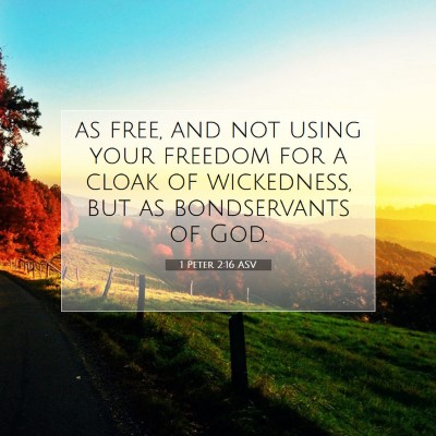 Picture 07 - 1 Peter 2:16 ASV - as free, and not using your freedom for a cloak - Bible Verse Picture