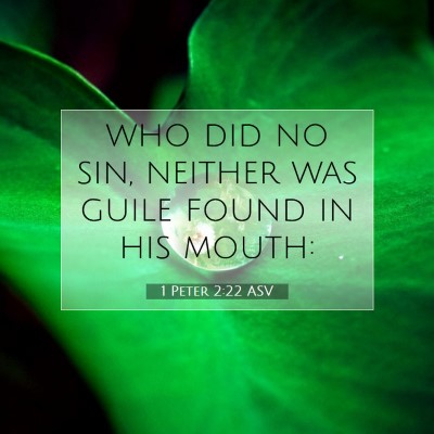 Picture 07 - 1 Peter 2:22 ASV - who did no sin, neither was guile found in his - Bible Verse Picture