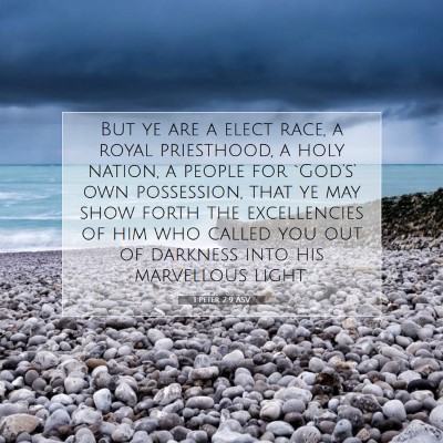 Picture 07 - 1 Peter 2:9 ASV - But ye are a elect race, a royal priesthood, a - Bible Verse Picture