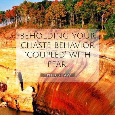 Picture 07 - 1 Peter 3:2 ASV - beholding your chaste behavior `coupled' with - Bible Verse Picture