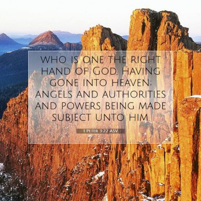 Picture 07 - 1 Peter 3:22 ASV - who is one the right hand of God, having gone - Bible Verse Picture