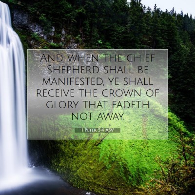 Picture 07 - 1 Peter 5:4 ASV - And when the chief Shepherd shall be manifested, - Bible Verse Picture