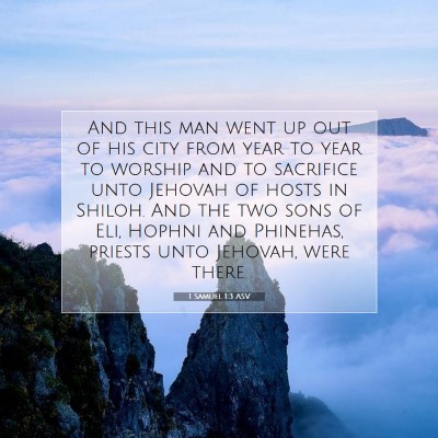 Picture 07 - 1 Samuel 1:3 ASV - And this man went up out of his city from year to - Bible Verse Picture