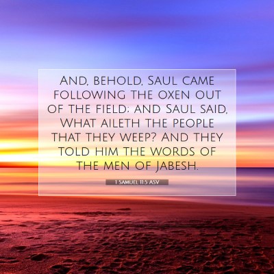 Picture 07 - 1 Samuel 11:5 ASV - And, behold, Saul came following the oxen out of - Bible Verse Picture
