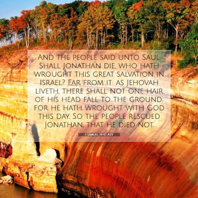 Picture 07 - 1 Samuel 14:45 ASV - And the people said unto Saul, Shall Jonathan - Bible Verse Picture