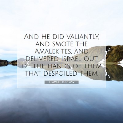 Picture 07 - 1 Samuel 14:48 ASV - And he did valiantly, and smote the Amalekites, - Bible Verse Picture