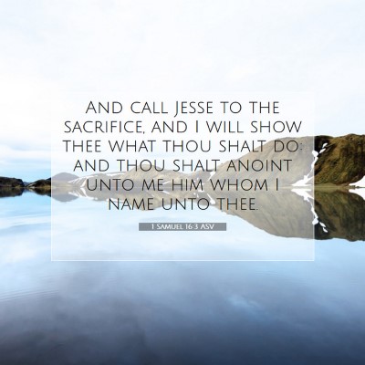 Picture 07 - 1 Samuel 16:3 ASV - And call Jesse to the sacrifice, and I will show - Bible Verse Picture