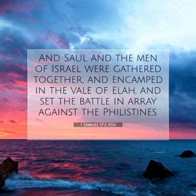 Picture 07 - 1 Samuel 17:2 ASV - And Saul and the men of Israel were gathered - Bible Verse Picture