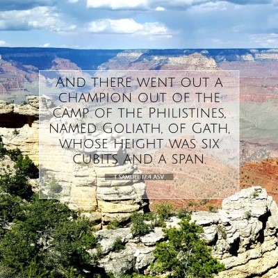Picture 07 - 1 Samuel 17:4 ASV - And there went out a champion out of the camp of - Bible Verse Picture