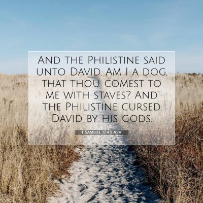 Picture 07 - 1 Samuel 17:43 ASV - And the Philistine said unto David, Am I a dog, - Bible Verse Picture