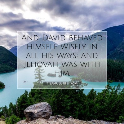 Picture 07 - 1 Samuel 18:14 ASV - And David behaved himself wisely in all his ways; - Bible Verse Picture