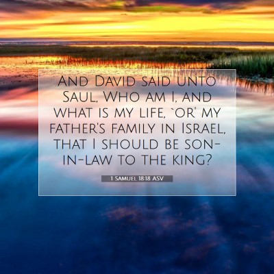 Picture 07 - 1 Samuel 18:18 ASV - And David said unto Saul, Who am I, and what is - Bible Verse Picture