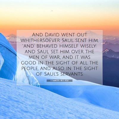 Picture 07 - 1 Samuel 18:5 ASV - And David went out whithersoever Saul sent him, - Bible Verse Picture