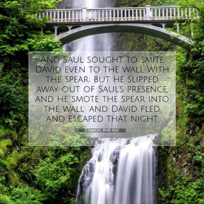 Picture 07 - 1 Samuel 19:10 ASV - And Saul sought to smite David even to the wall - Bible Verse Picture