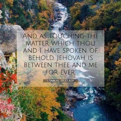 Picture 07 - 1 Samuel 20:23 ASV - And as touching the matter which thou and I have - Bible Verse Picture