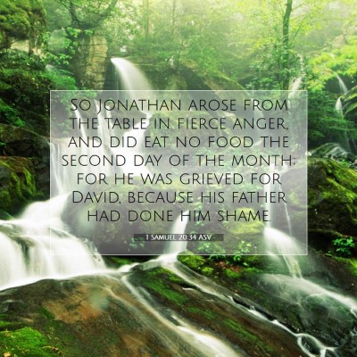 Picture 07 - 1 Samuel 20:34 ASV - So Jonathan arose from the table in fierce anger, - Bible Verse Picture