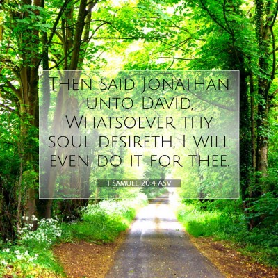 Picture 07 - 1 Samuel 20:4 ASV - Then said Jonathan unto David, Whatsoever thy - Bible Verse Picture