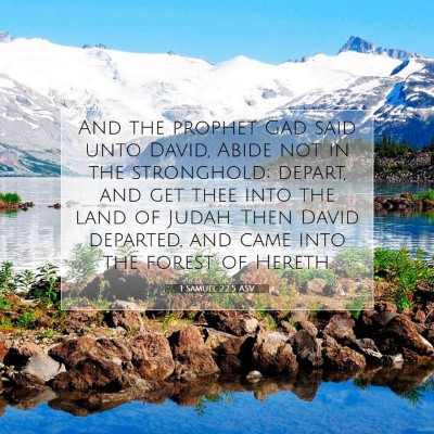 Picture 07 - 1 Samuel 22:5 ASV - And the prophet Gad said unto David, Abide not in - Bible Verse Picture