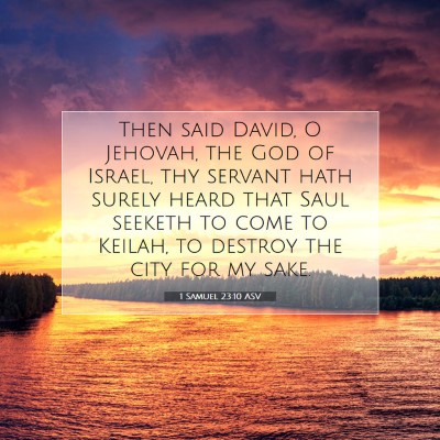 Picture 07 - 1 Samuel 23:10 ASV - Then said David, O Jehovah, the God of Israel, - Bible Verse Picture