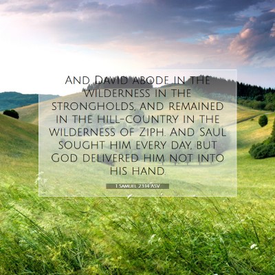 Picture 07 - 1 Samuel 23:14 ASV - And David abode in the wilderness in the - Bible Verse Picture