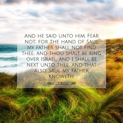 Picture 07 - 1 Samuel 23:17 ASV - And he said unto him, Fear not; for the hand of - Bible Verse Picture