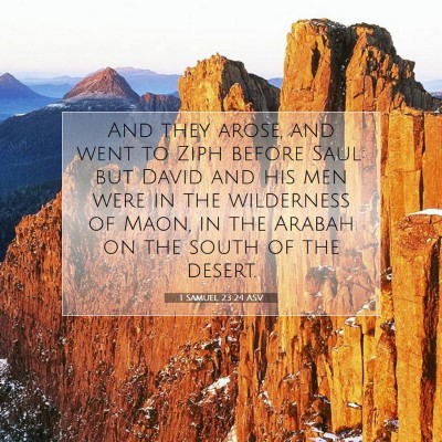 Picture 07 - 1 Samuel 23:24 ASV - And they arose, and went to Ziph before Saul: but - Bible Verse Picture