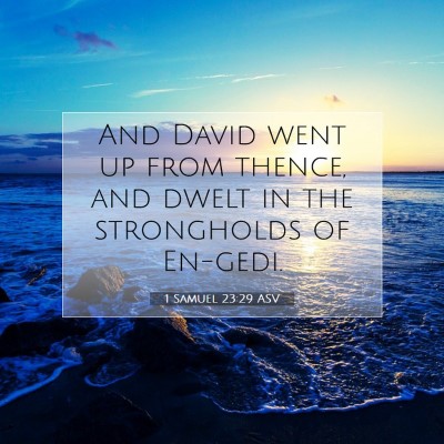Picture 07 - 1 Samuel 23:29 ASV - And David went up from thence, and dwelt in the - Bible Verse Picture