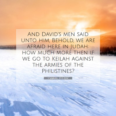 Picture 07 - 1 Samuel 23:3 ASV - And David's men said unto him, Behold, we are - Bible Verse Picture